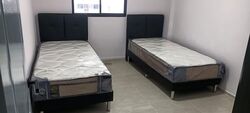 Blk 20 Hougang View (Hougang), HDB 3 Rooms #564582501